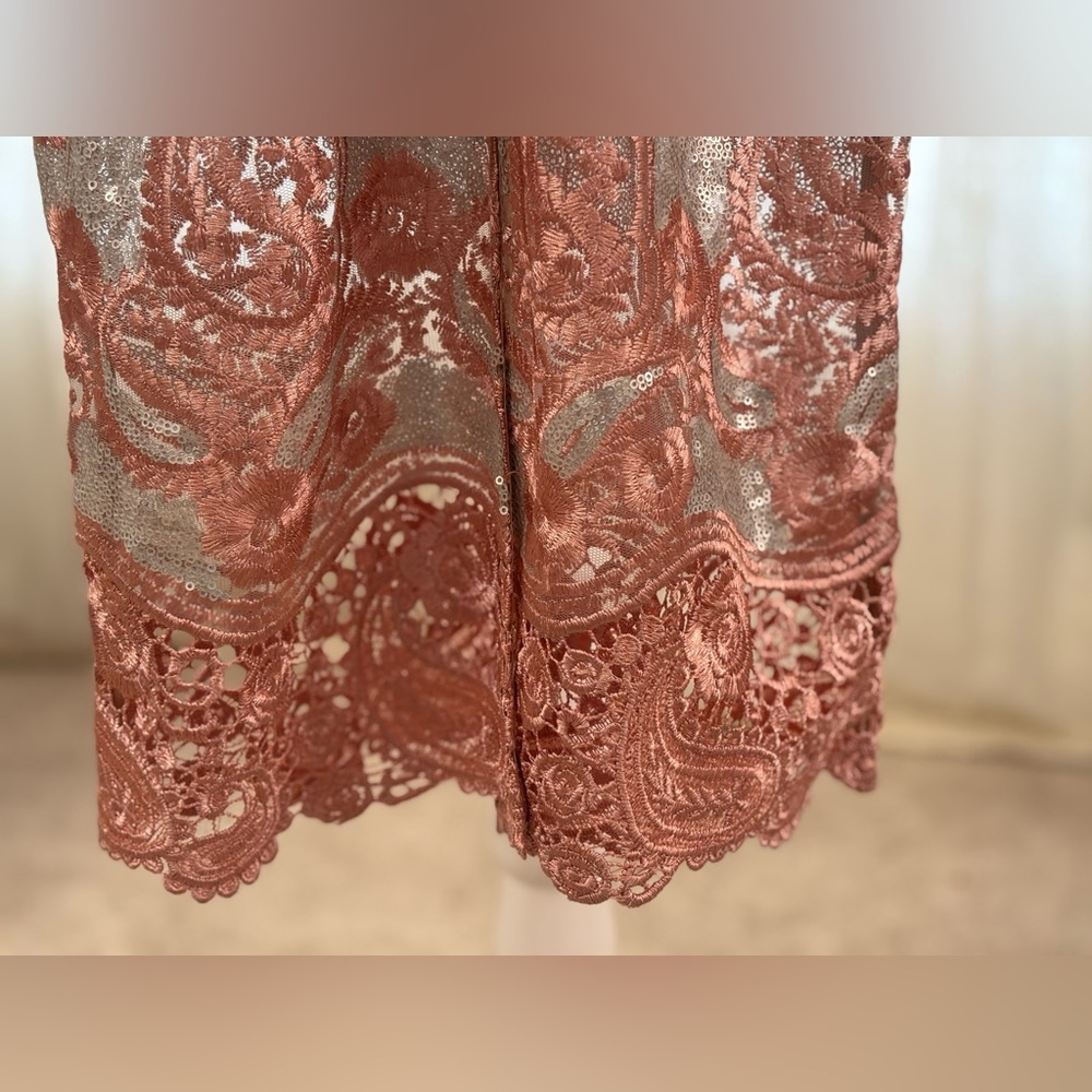 Dress the Population Angela Sequin & Lace Dress XS Homecoming Formal Holiday - Picture 11 of 15